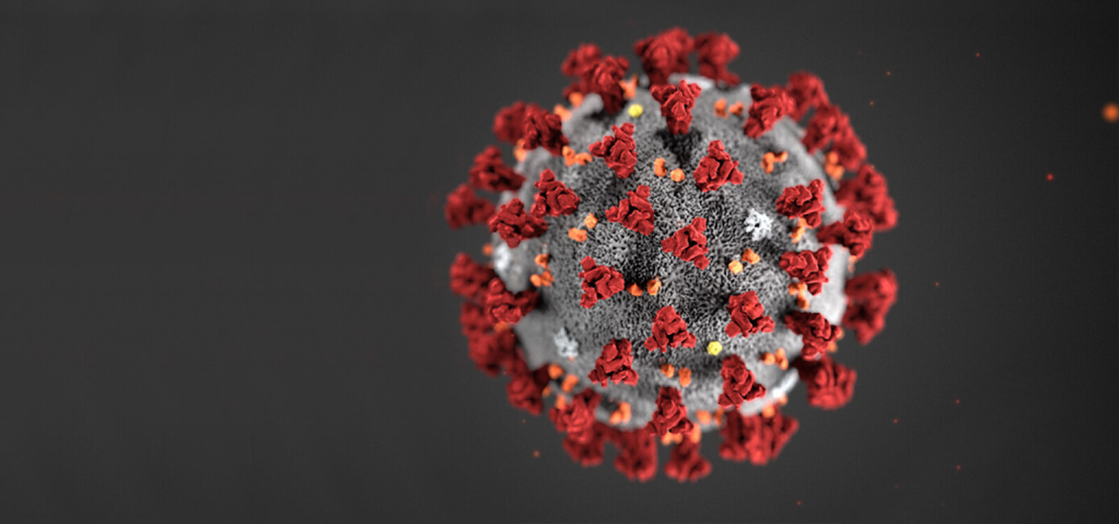 Covid 19 Coronavirus